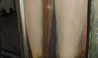 Kolesnoe-Kulevcha-9